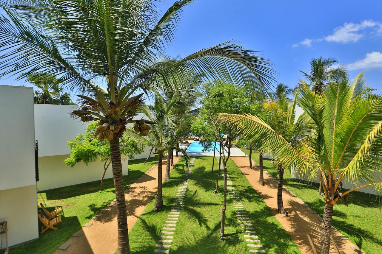 Arugambay Roccos Hotel Arugam Bay Kültér fotó